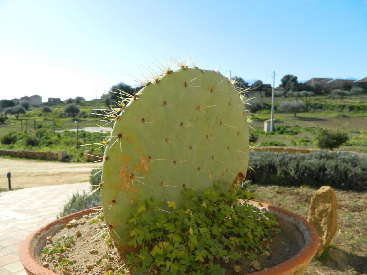 Agriturismo Passo Dei Briganti Agrigento Exterior foto